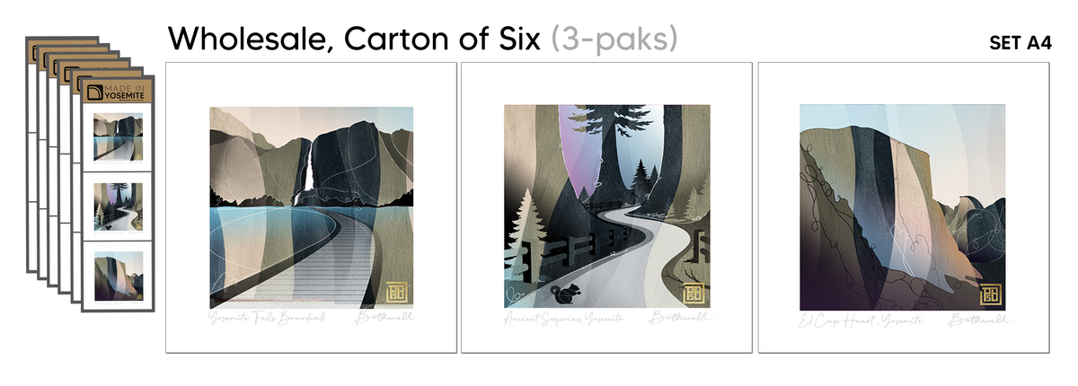 Set A4 — Case of 6 (Wholesale $117)