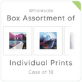 Assortment of Individual Prints (Case of 18) - $119